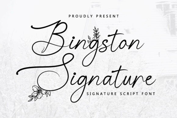 Bingston Signature: Crafting Elegance with a Modern Script