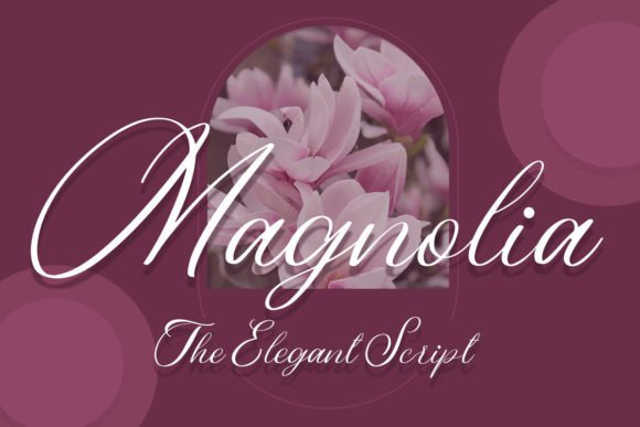 Discover the Elegance of the Magnolia Script Font