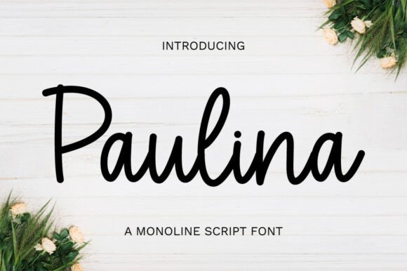Paulina: A Script Font That Feels Like a Signature